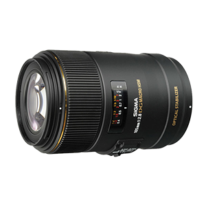 Sigma Art 105 f2.8 Macro